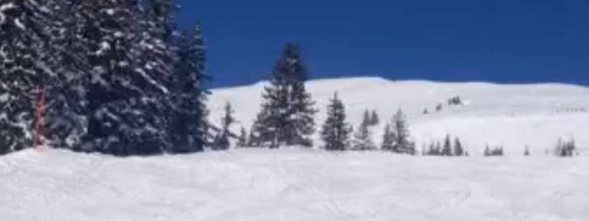 Die Winterbevorratung hat begonnen…